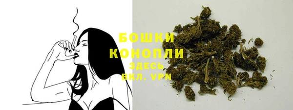 дмт Пестово