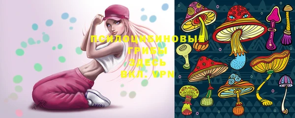 PSILOCYBIN Абаза