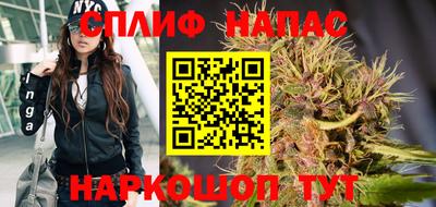Альфа ПВП Гагарин