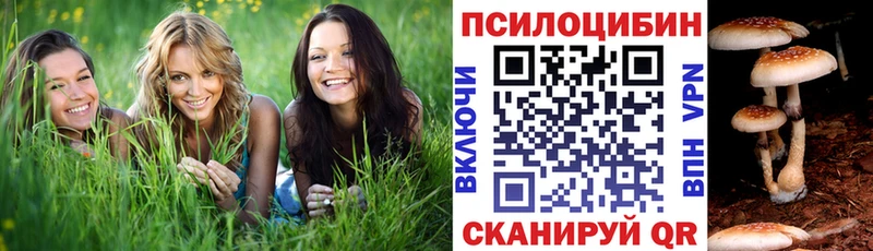 Галлюциногенные грибы Magic Shrooms  Советская Гавань 